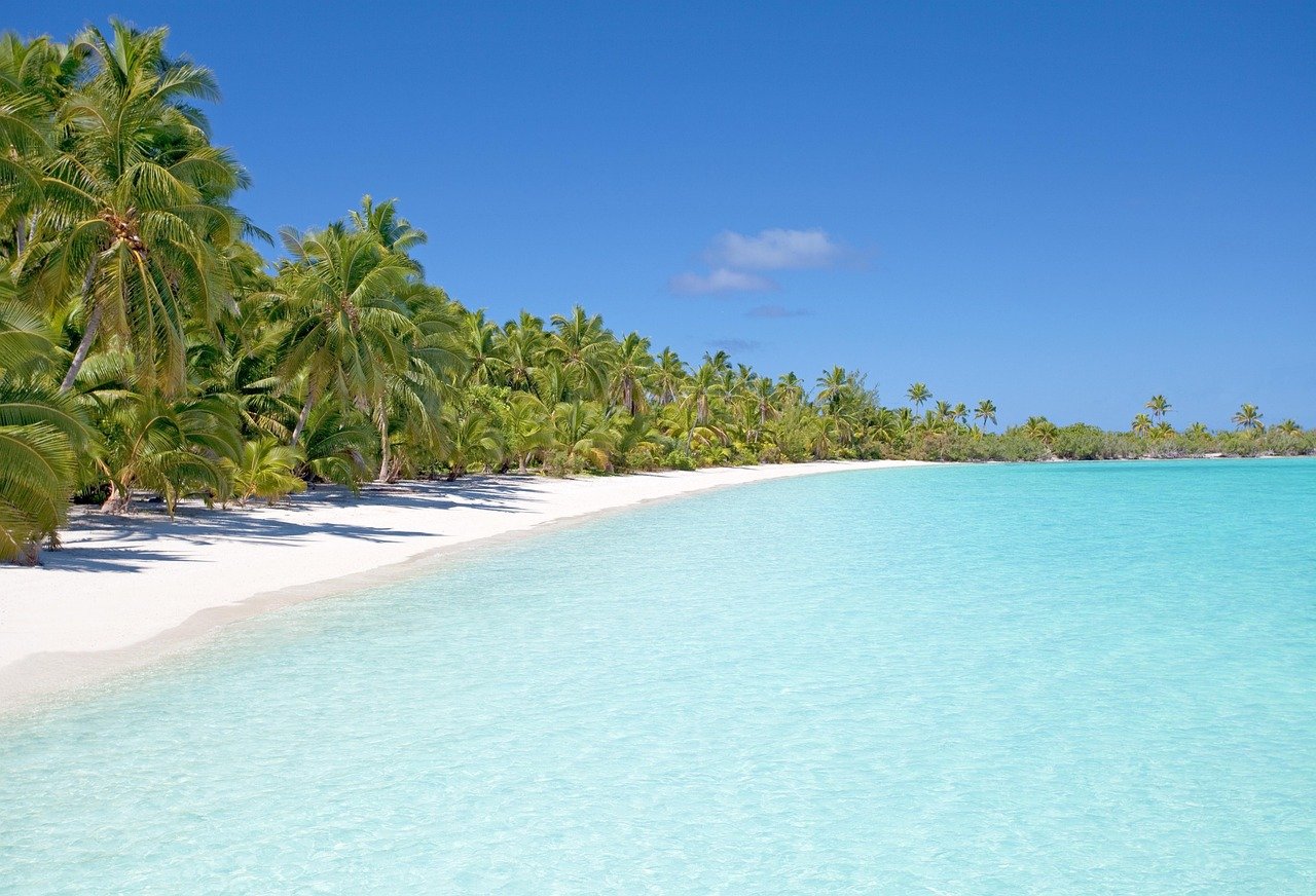 beach, island, ocean, sea, seascape, seashore, palm trees, water, paradise, tropical, tropical island, sand, sandy beach, nature, white sand